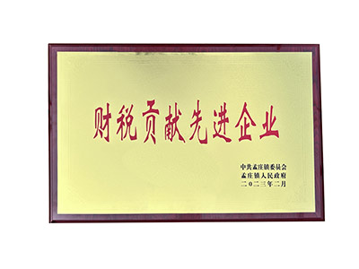 財(cái)稅貢獻(xiàn)先進(jìn)企業(yè)