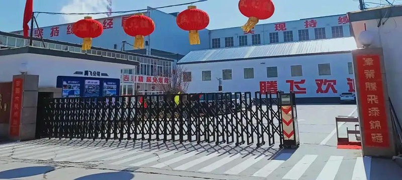 騰飛鑄鋼廠貌